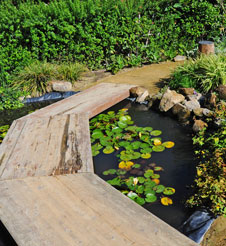 A Paz entre o Homem e a Natureza (França)
