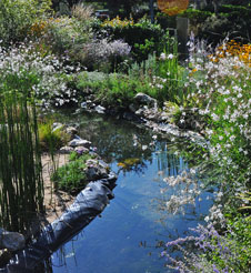 Cartasis Garden (Portugal)