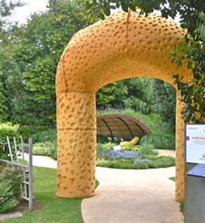 Jardim Esponja (Portugal - Brasil - Reino Unido – Turquia)
