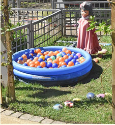 Festival de Jardins Escolinhas de Ponte de Lima
